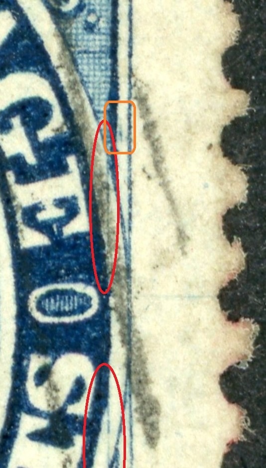 00019_445_pos_20_closeup_pf_20.1.jpg