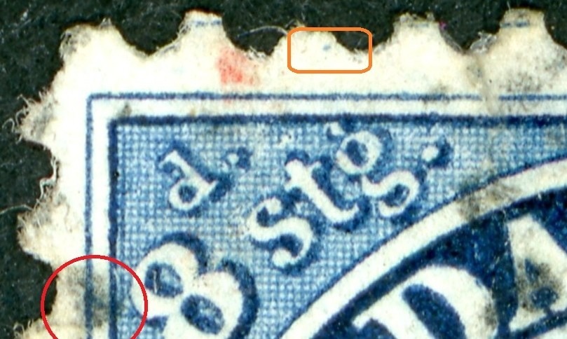 00019_301_pos_27_closeup_pf_27.1.jpg