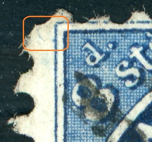 00019_501_pos_44_closeup_pf_44.1.jpg