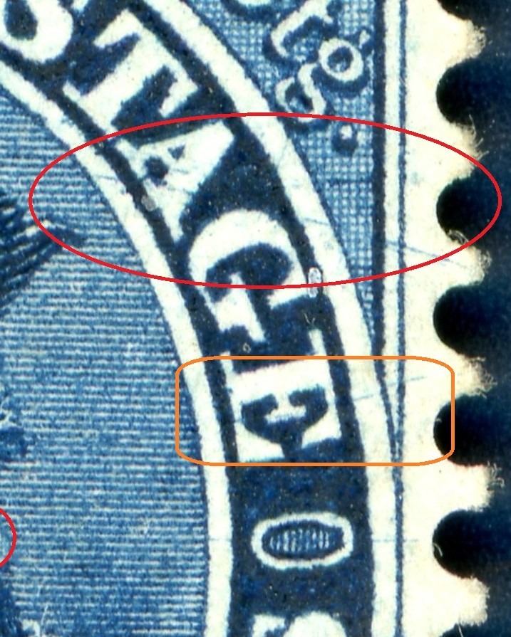 00019_365_pos_46_closeup_pf_46.1.jpg