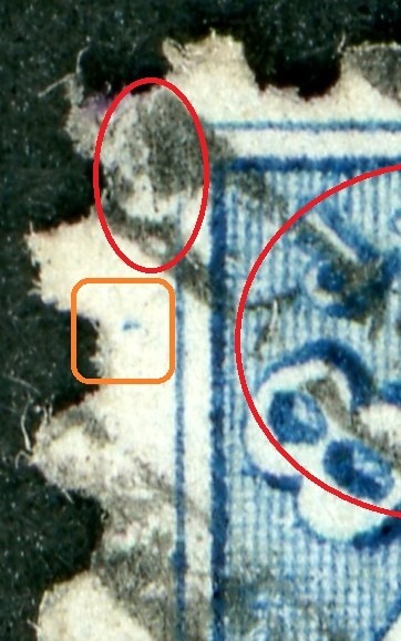 00019_120_pos_51_closeup_pf_51.2a.jpg