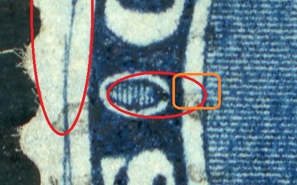 00019_515_pos_77_closeup_pf_77.1.jpg
