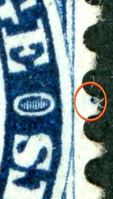 00019_420_pos_79_closeup_pf_79.1.jpg